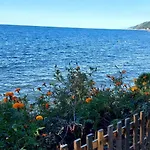 Seafront Apartment By The Sea And With A Beach And With Big Garden