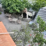 White Coral House