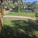 Tiny Mini House