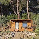 Tiny Mini House