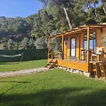 Tiny Mini House
