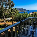 Seahorse Kalkan