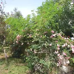 Villa Leton Kleo - Kalkan Center