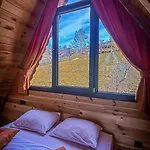 Dogallife Suit Bungalow