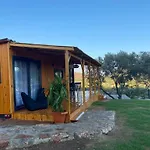 Suzi\'S Tiny Houses