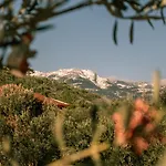 Oli Camping & Bungalows
