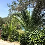 Dream House By The Aegean Coast