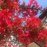 Alayaz Hotel
