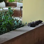 Palm Court Suites