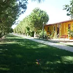 Koru Beach Club