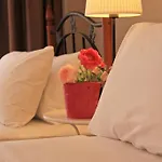 Lady Rose