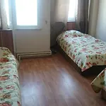 Mari̇Na Pansi̇Yon