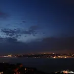 Maroon Bosphorus