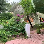 Ipek Hotel Camyuva