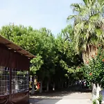Koru Beach Club