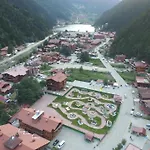 Nova Uzungoel