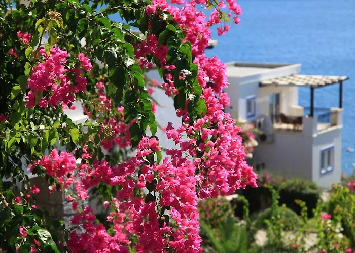 Aktur Residence