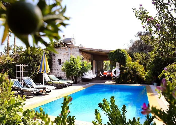 Villa Limon By Important Group Travel