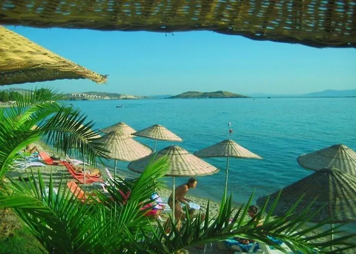 Teras Motel