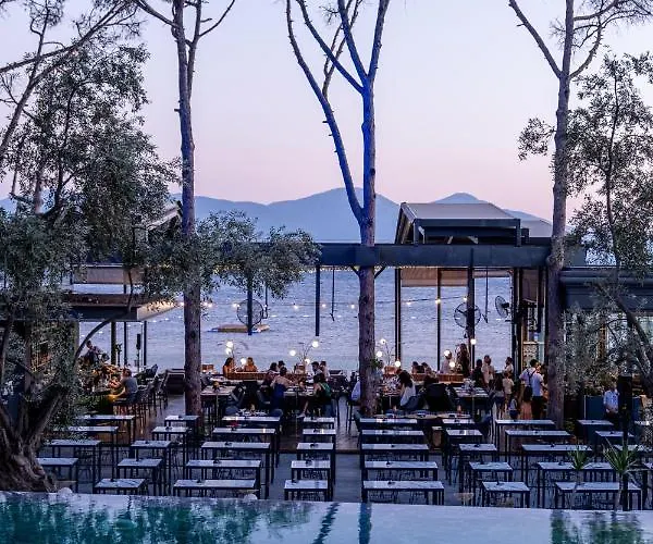 Unique Life Style Hotel
