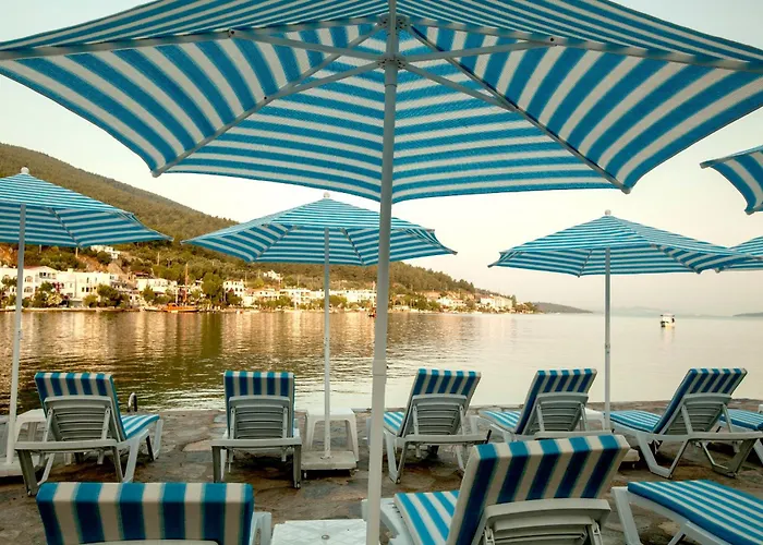 Zena Hotel Bodrum