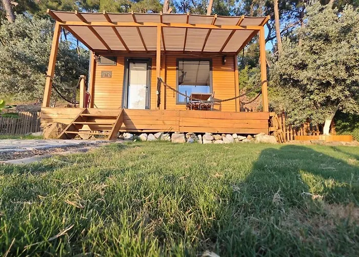 Tiny Mini House