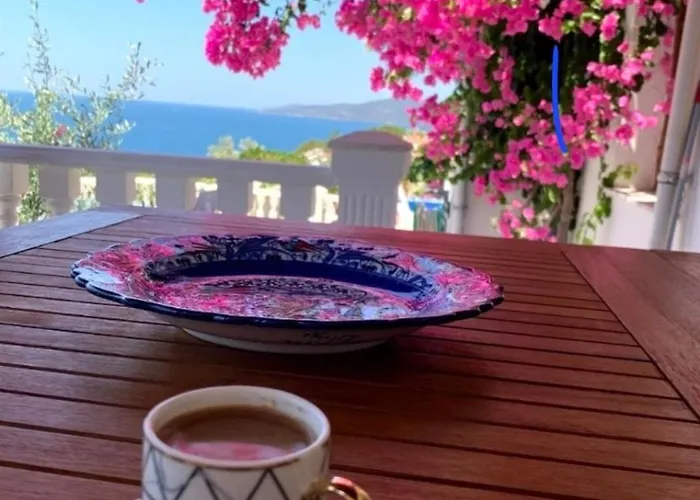 Sevinc Papatya House