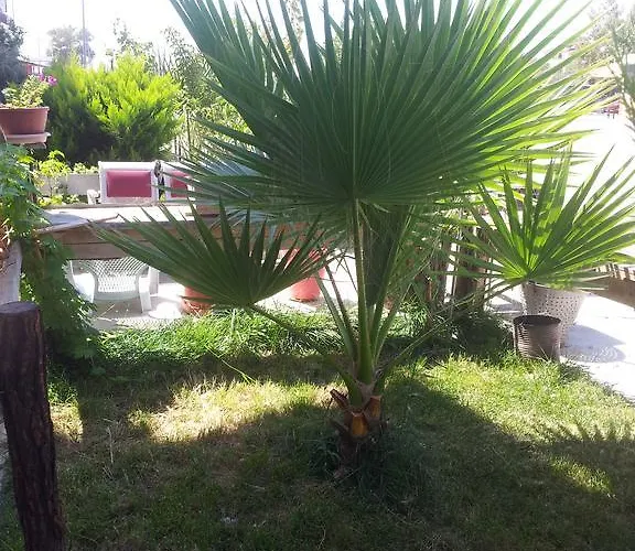 Motel Birsin