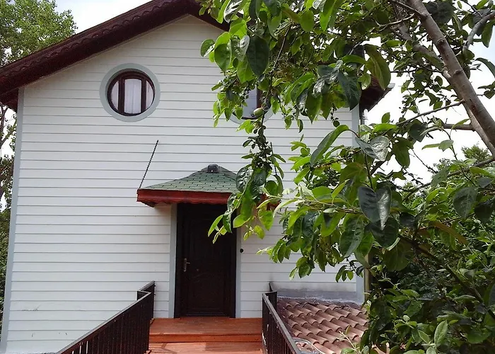 Vira Creek House