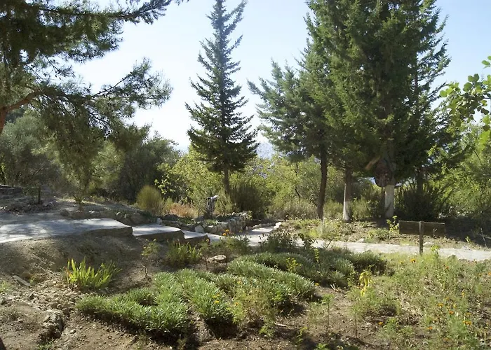 Yuva Eco Holiday Yoga Retreat