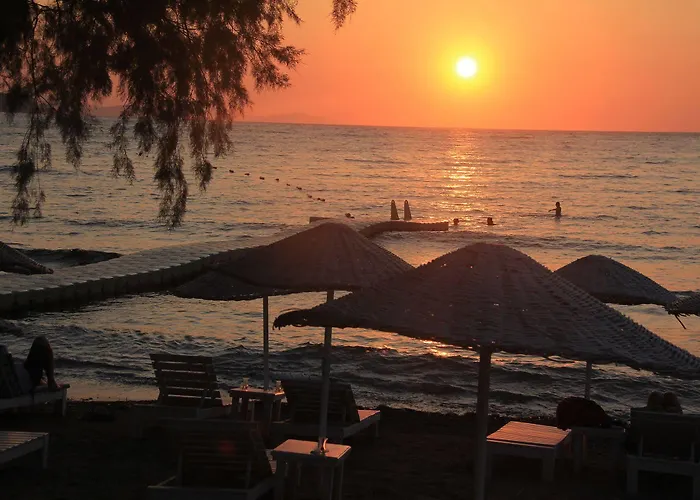 Zemda Hotel Gumusluk All Inclusive