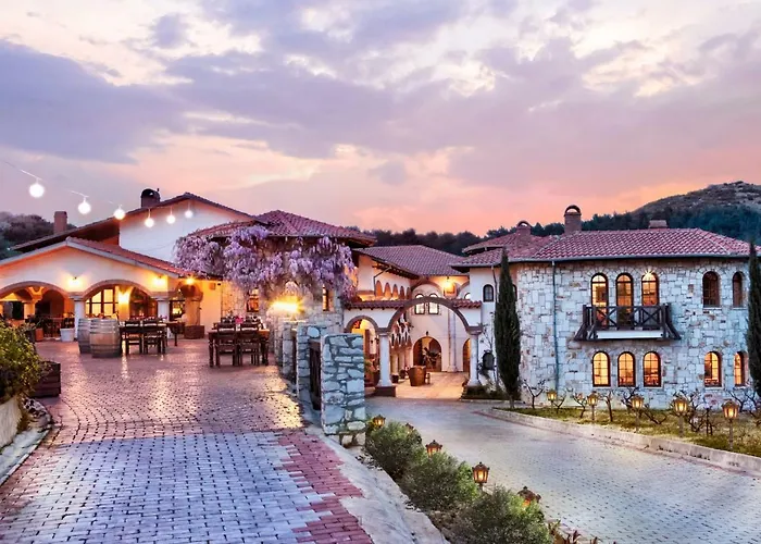 Vinifera Vineyards Hotel
