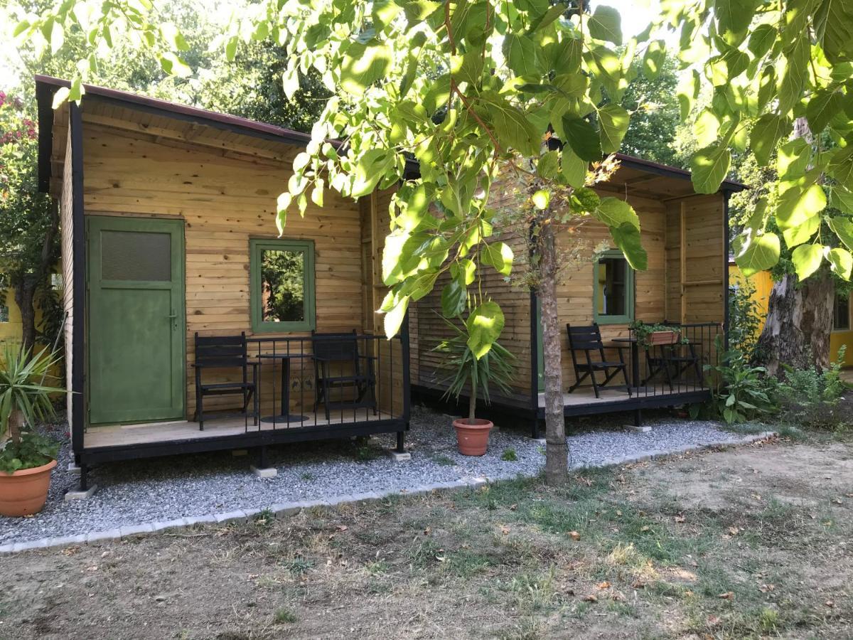 Lodge Camping
