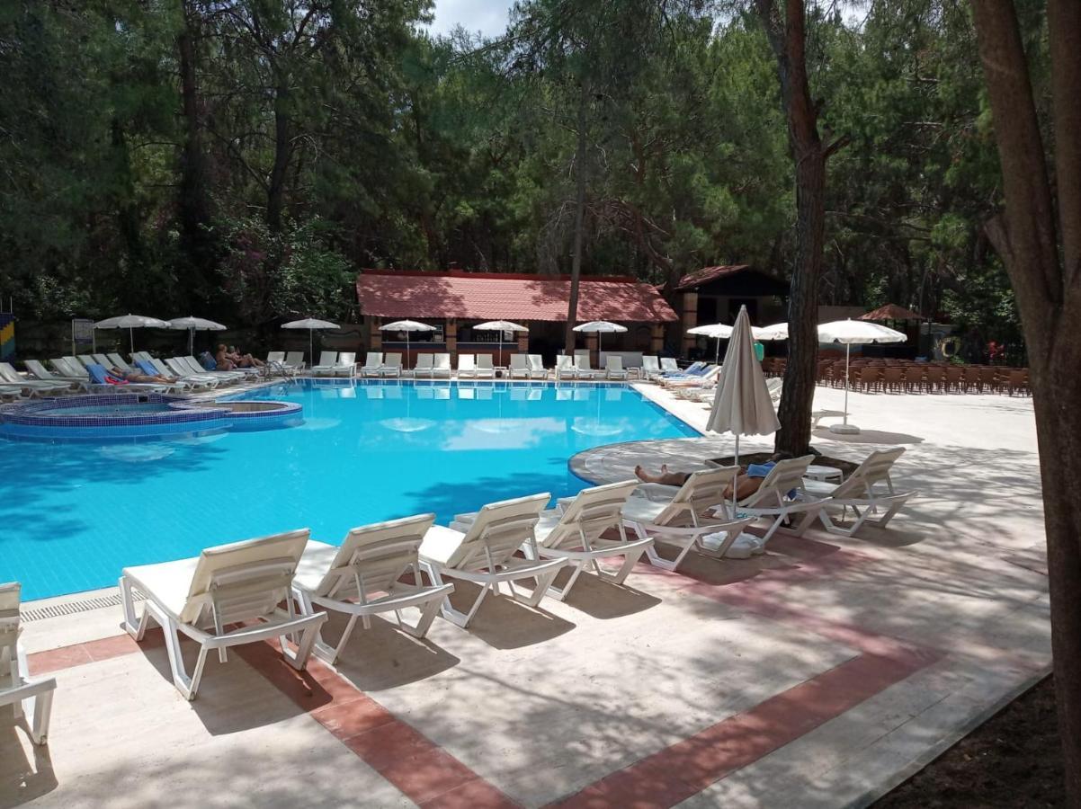 Club Festival Hotel 4*