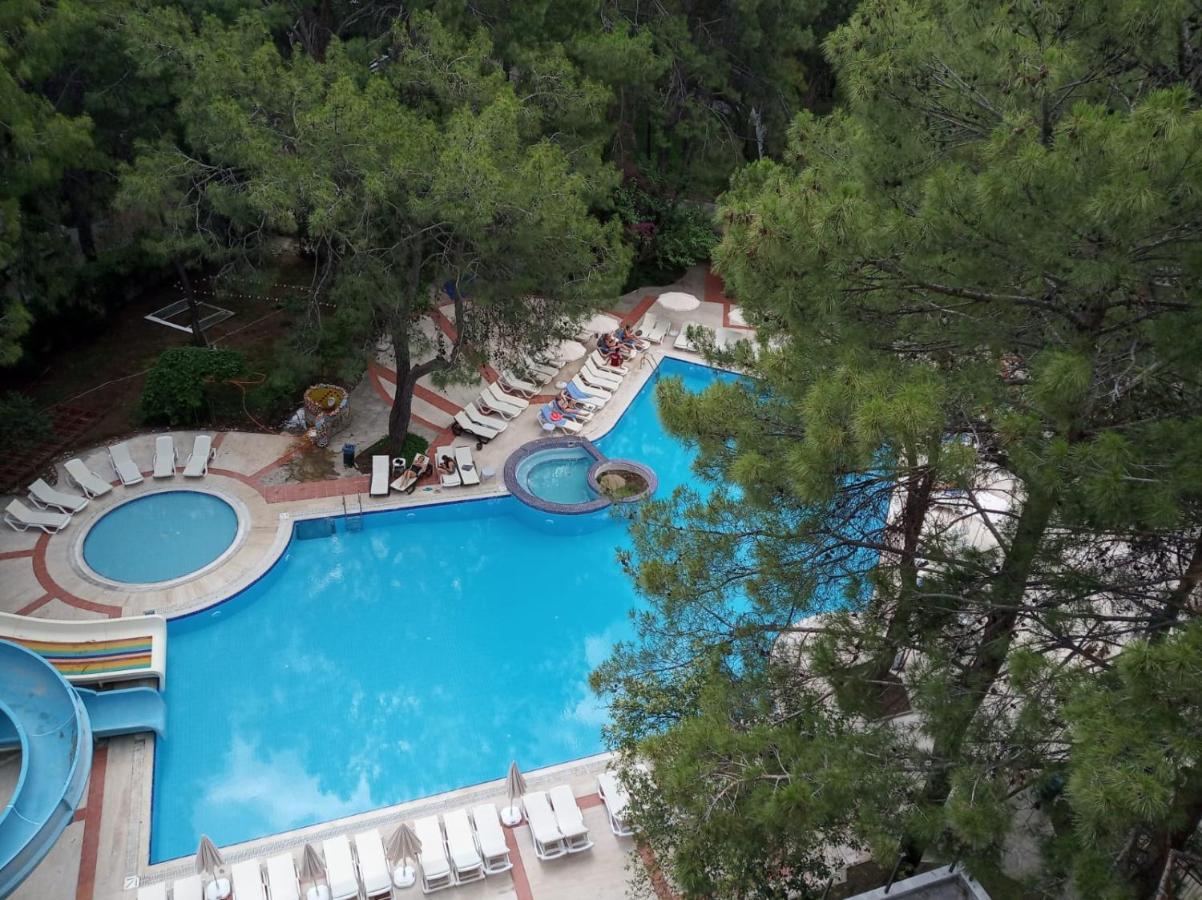 Hotel Club Festival