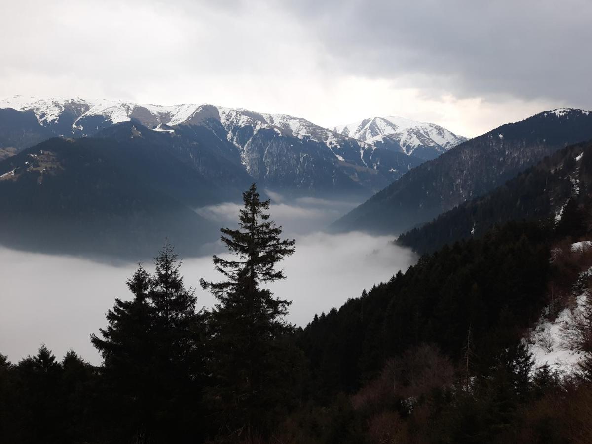Yesil Kosk Uzungol