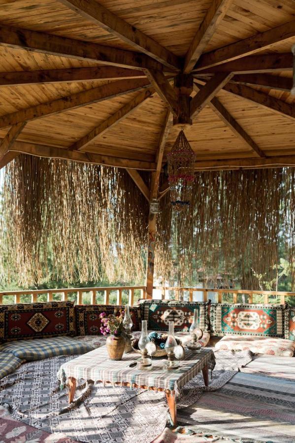 Yuva Eco Holiday Yoga Retreat
