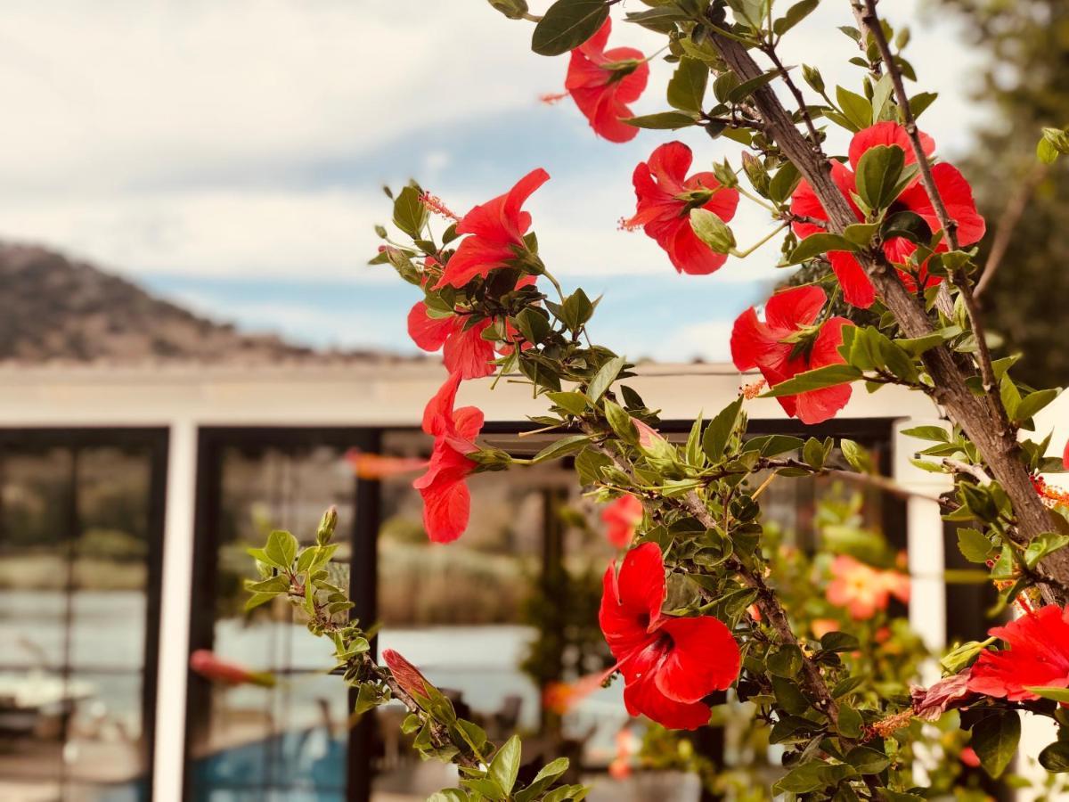 Arp Hotel Dalyan