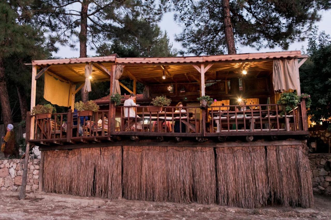 Resort Yuva Eco Holiday Yoga Retreat