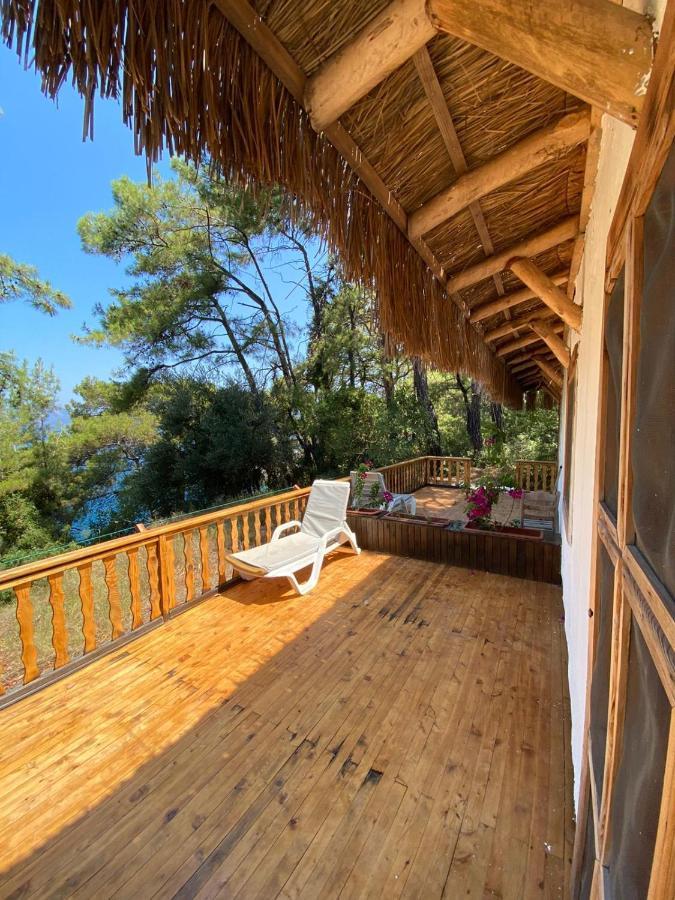 Yuva Eco Holiday Yoga Retreat Resort
