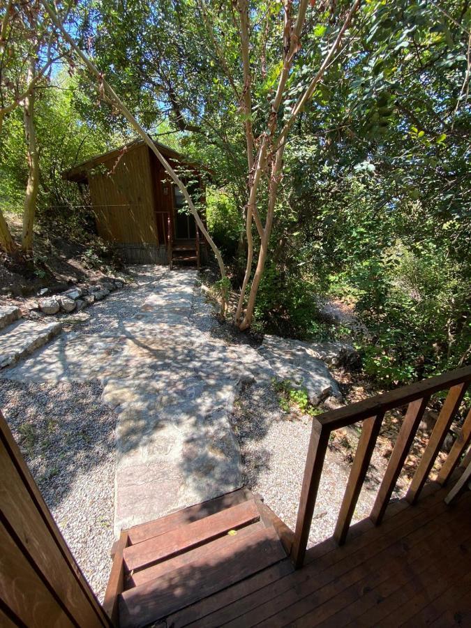Resort Yuva Eco Holiday Yoga Retreat *