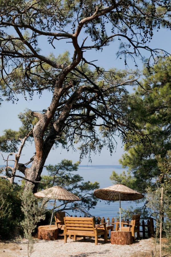 Yuva Eco Holiday Yoga Retreat