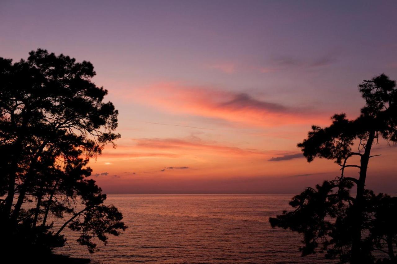 Yuva Eco Holiday Yoga Retreat