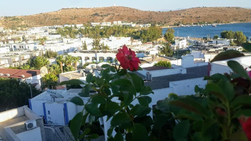 Hotel Merve Park