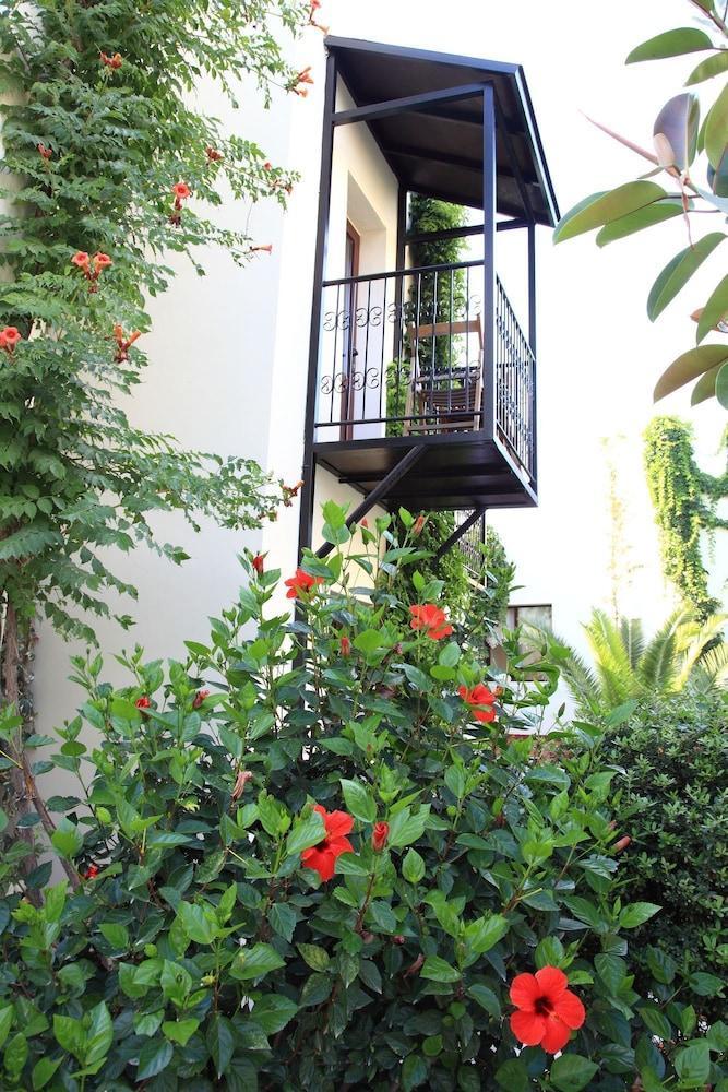 Hotel Paloma 2*