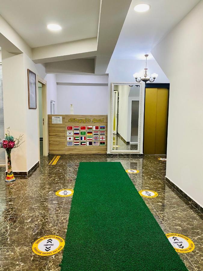 Apartment Alibeyoglu *