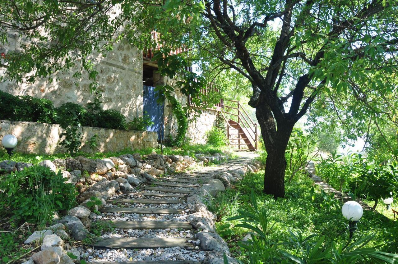 Ambar Evleri * Kalkan