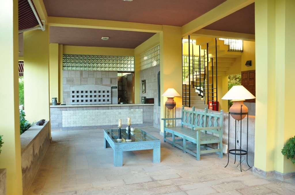 Bed & Breakfast Palm Court