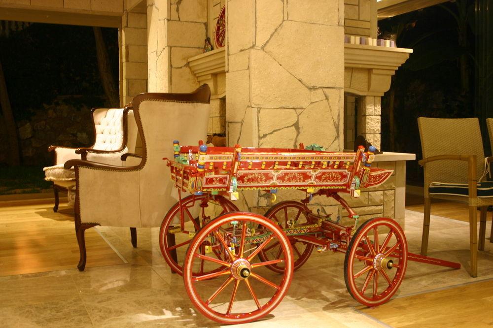 Petunya Boutique Icmeler