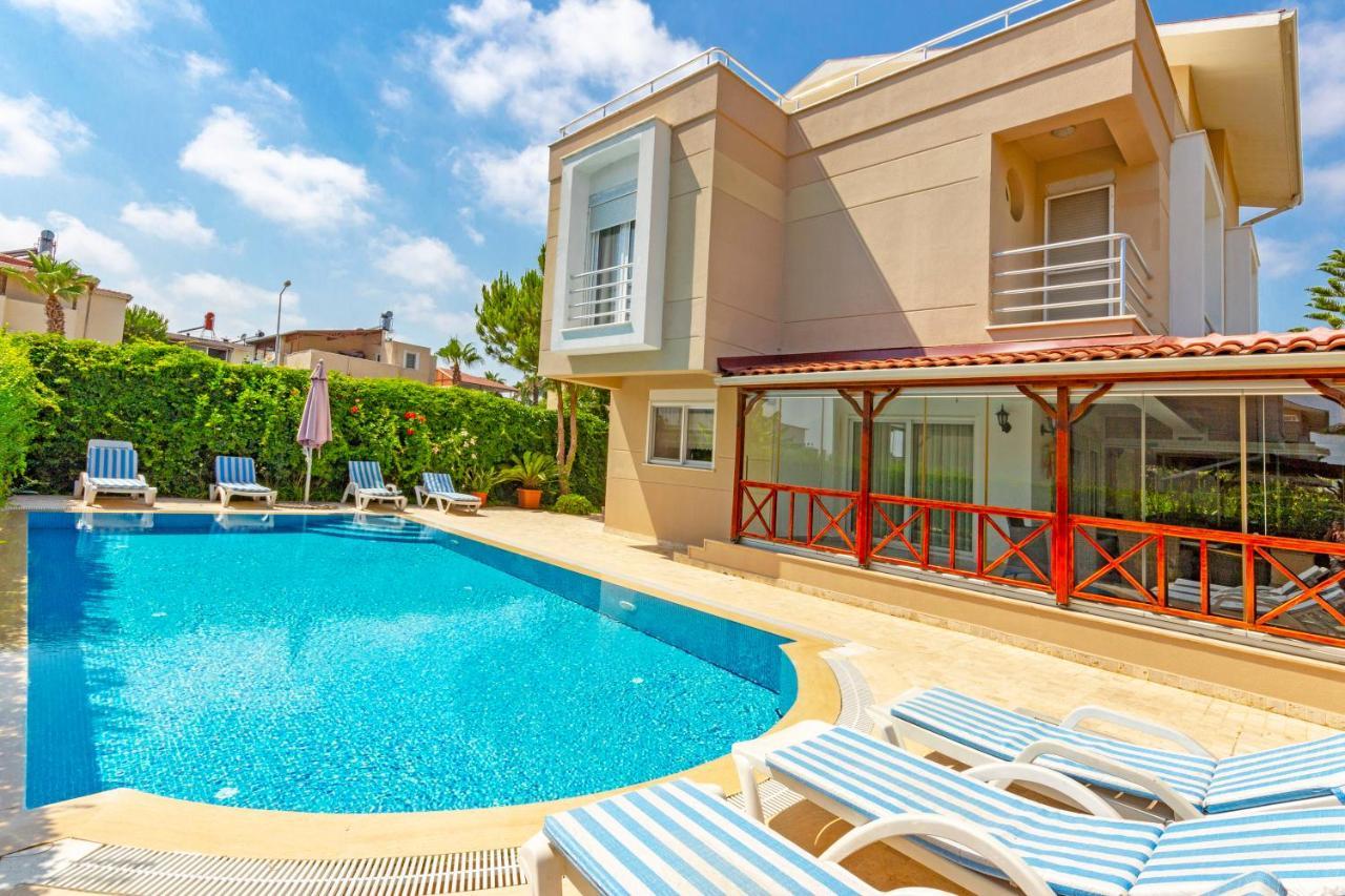 Paradise Town Premium *